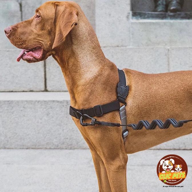 Antipuxão Gotham Soft-Walk Harness